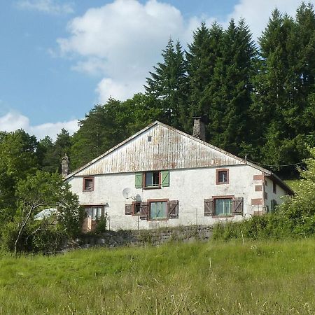 Charming Holiday Home Near The Ski Slopes Vagney Экстерьер фото