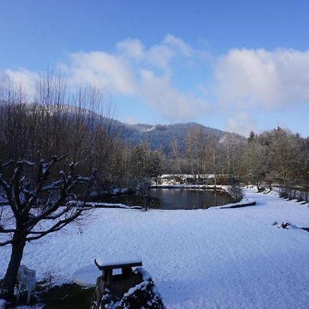Charming Holiday Home Near The Ski Slopes Vagney Экстерьер фото