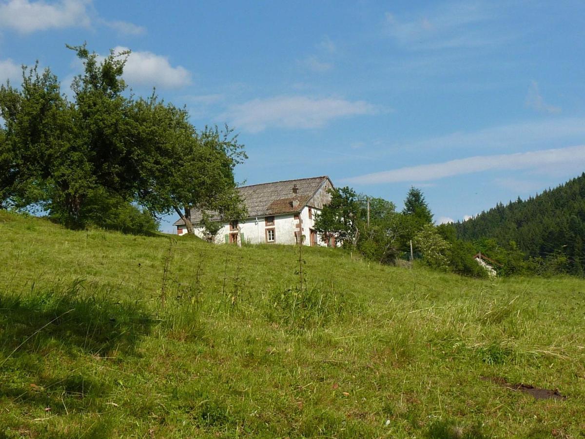 Charming Holiday Home Near The Ski Slopes Vagney Экстерьер фото