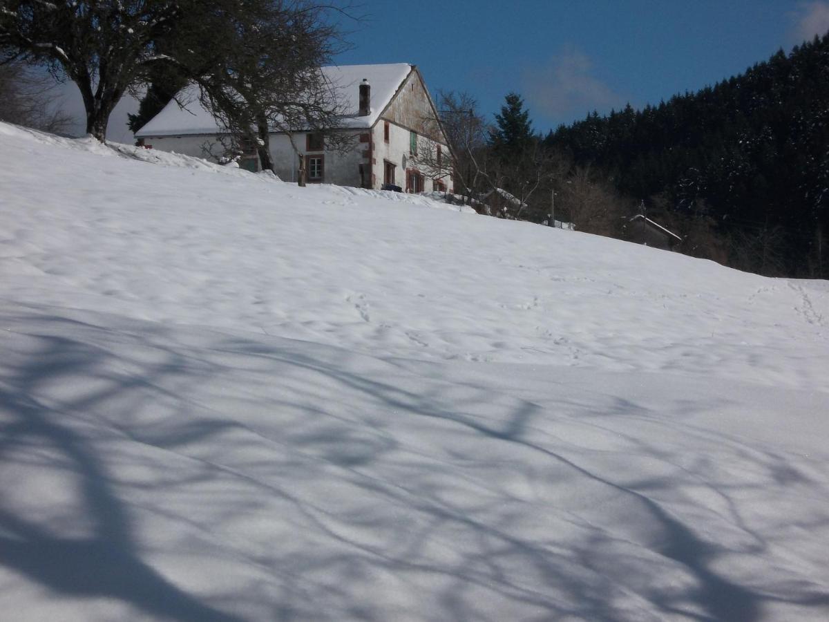 Charming Holiday Home Near The Ski Slopes Vagney Экстерьер фото