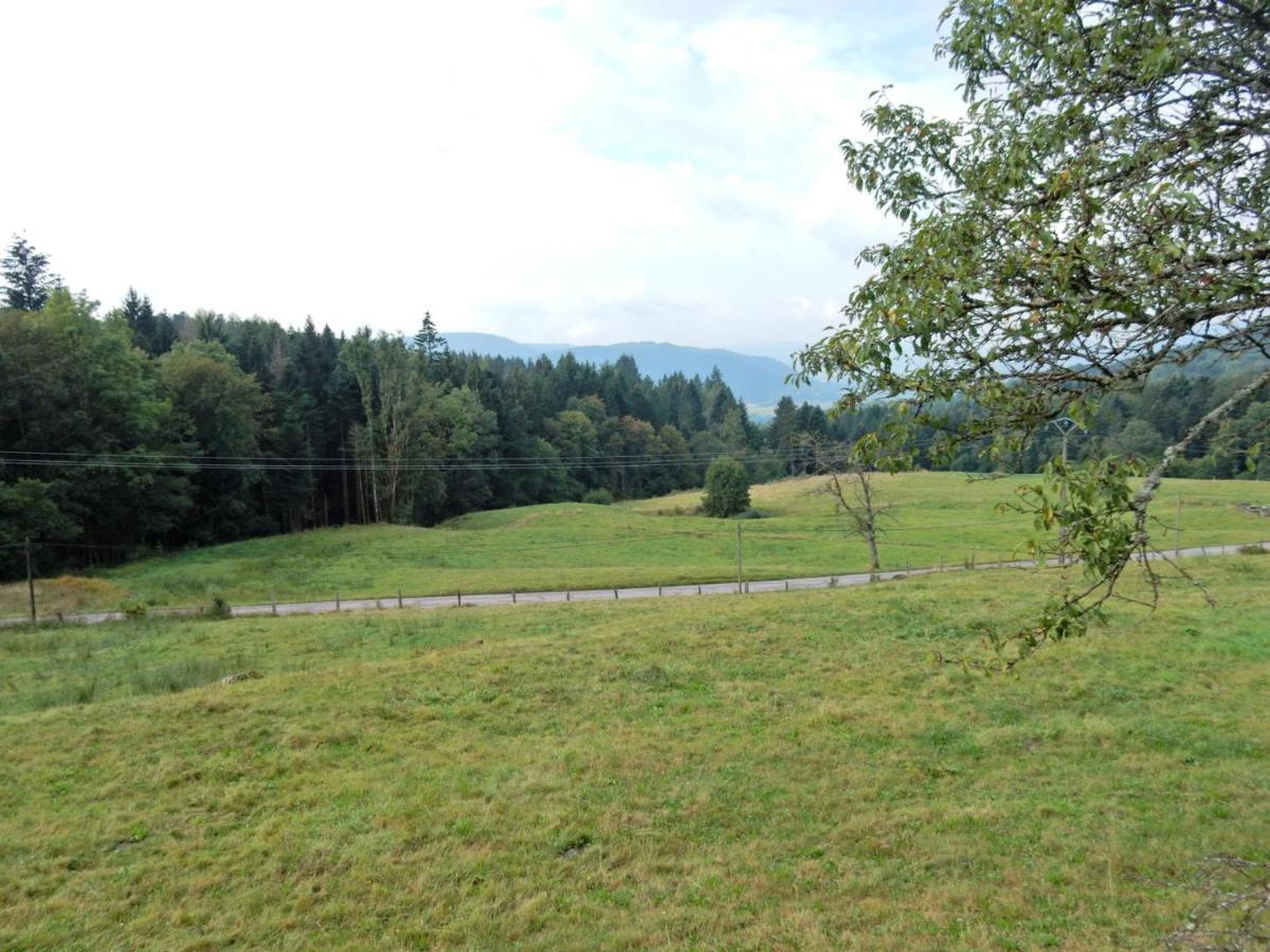 Charming Holiday Home Near The Ski Slopes Vagney Экстерьер фото