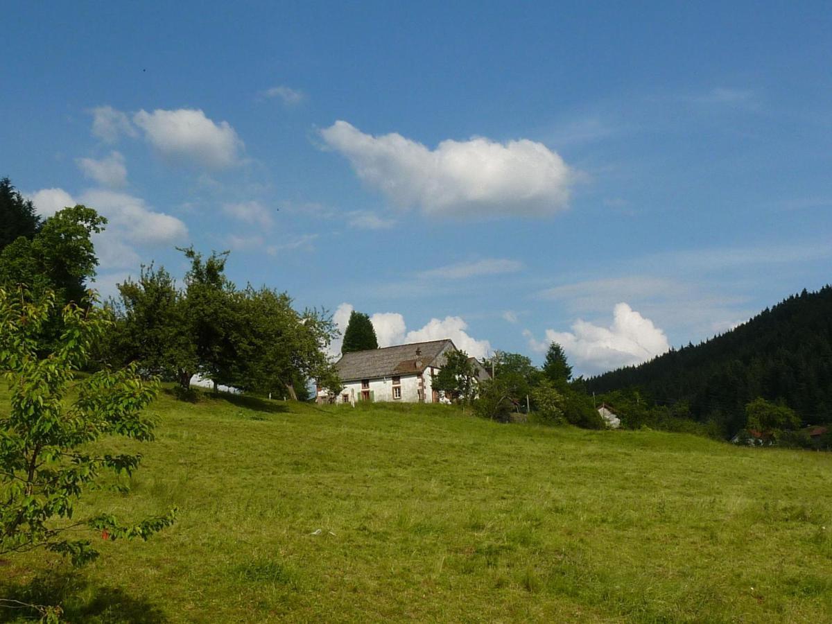 Charming Holiday Home Near The Ski Slopes Vagney Экстерьер фото