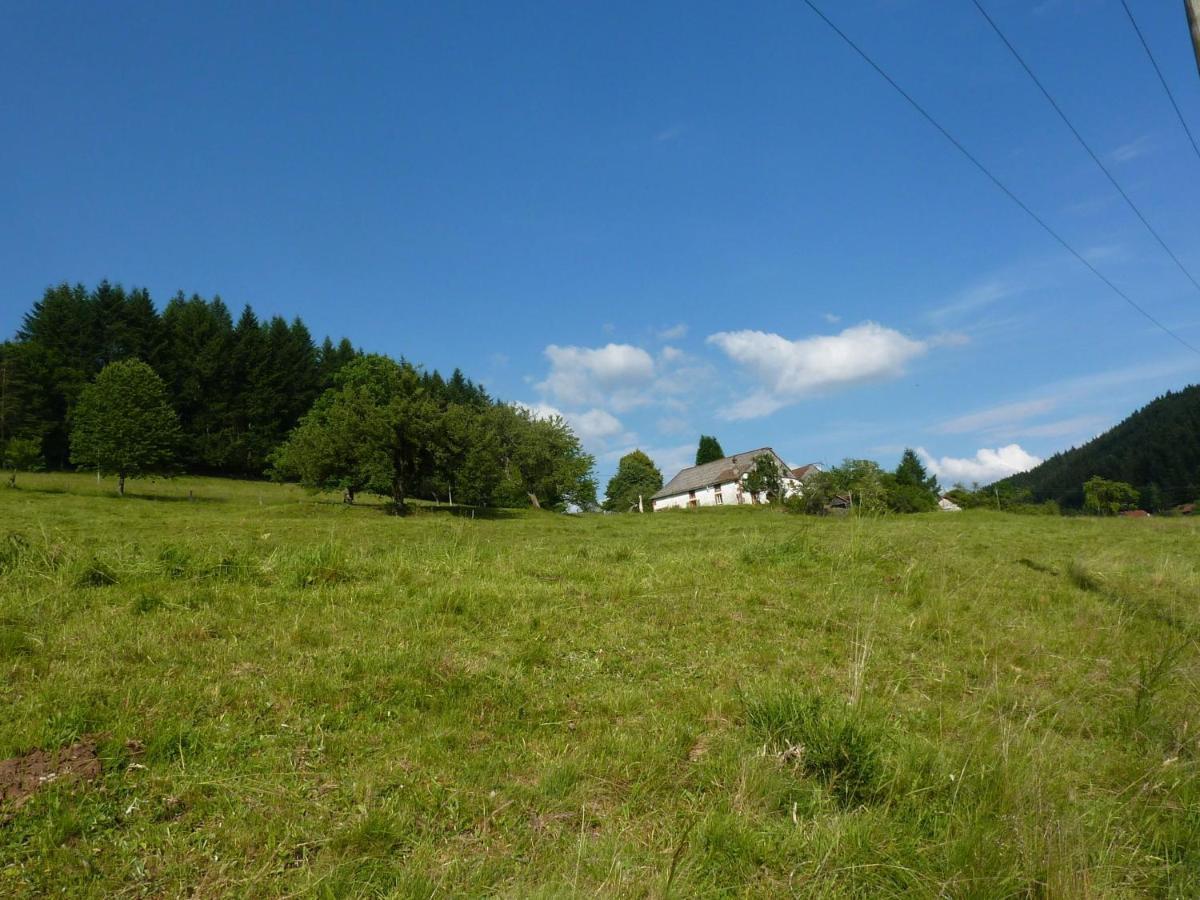 Charming Holiday Home Near The Ski Slopes Vagney Экстерьер фото