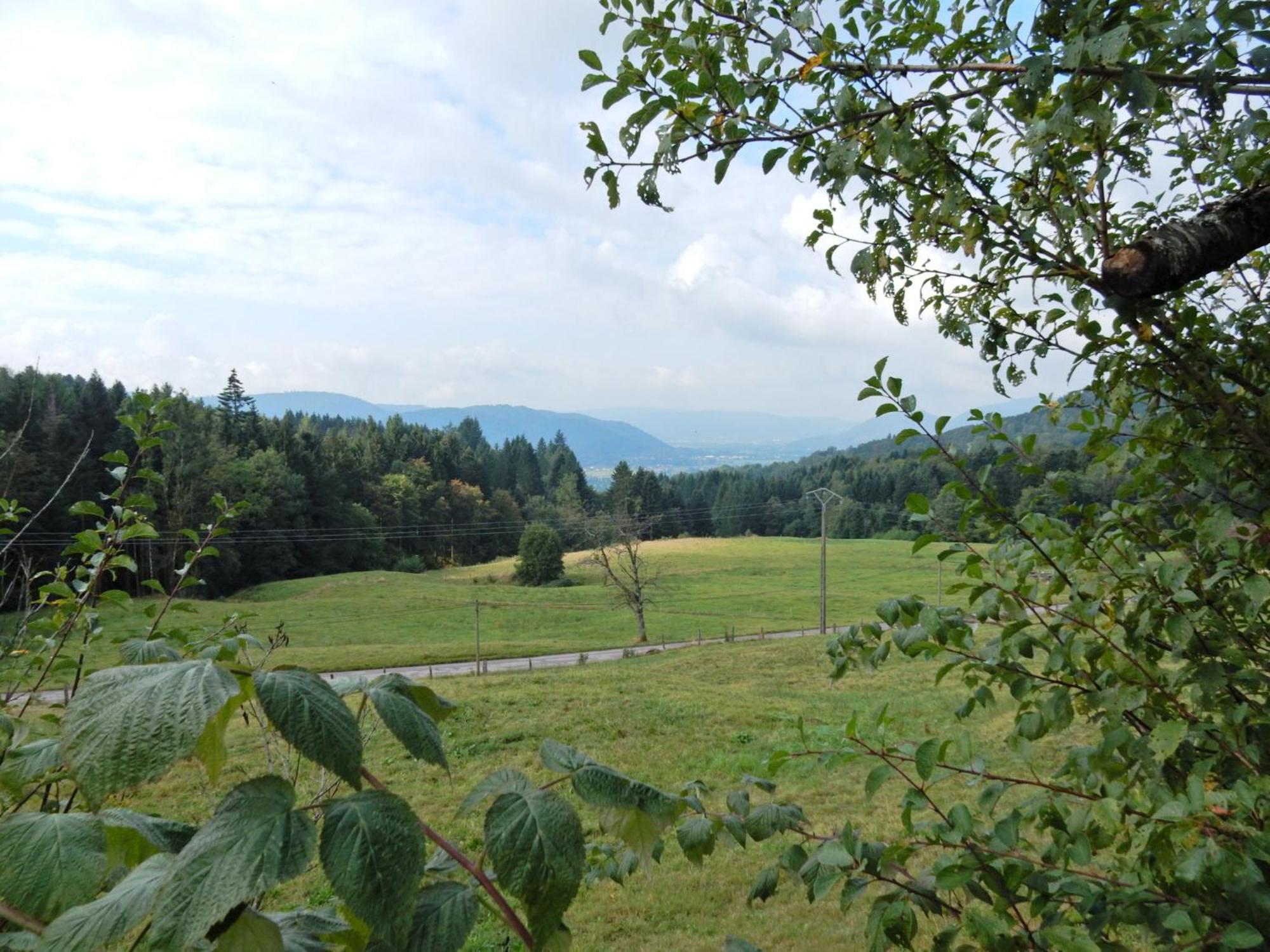 Charming Holiday Home Near The Ski Slopes Vagney Экстерьер фото