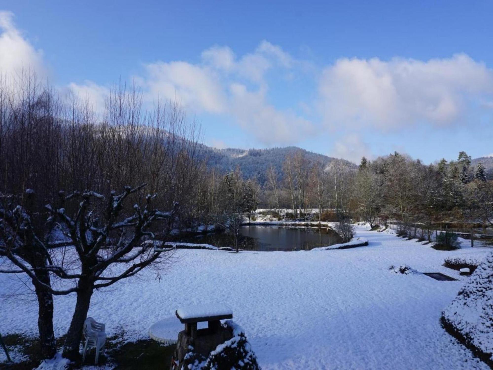 Charming Holiday Home Near The Ski Slopes Vagney Экстерьер фото